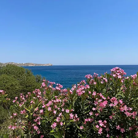 Syra Nest Private Beach 3*